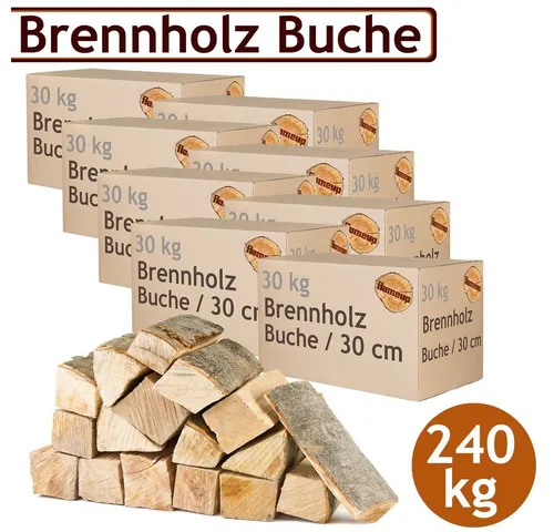 Flameup Kaminholz Brennholz Kaminholz Holz 5-500 kg Ofen Kamin Kaminofen Buche 30 cm, 240 kg