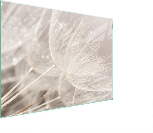 Glasschutzplatte Für Herd 70X52 Blume