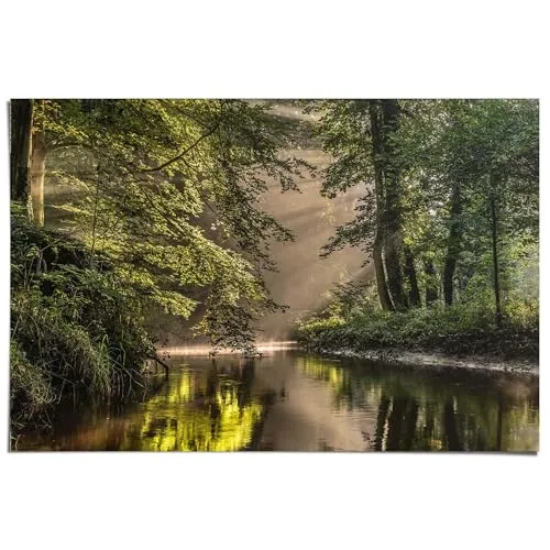 REINDERS Poster, Lichtspiel am Waldsee, Wohnzimmer, Poster, Wanddeko, Room Decor, Bilderdruckpapier, Grün, 61 x 91,5