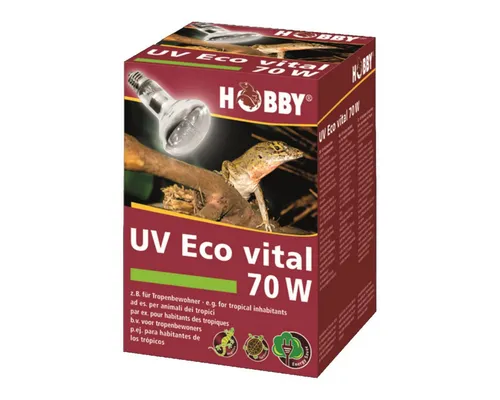 Hobby UV Eco vital 70 Watt - Mischlichtlampe für Terrarien - Sonstiges Terrarienzubehör, energieeffiziente Mischlichtlampe mit 3-in-1-Funktion für Licht, Wärme und UV-A/B, ideal für die Gesundheit tropischer Reptilien.