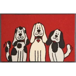 wash+dry by Kleen-Tex Fußmatte Three Dogs - Rutschhemmend und Waschbar - Fußmatte mit Hunde-Motiv, rechteckig, 50 cm x 75 cm, rutschhemmend und waschbar. Ideal für Eingangsbereiche, strapazierfähig und pflegeleicht.