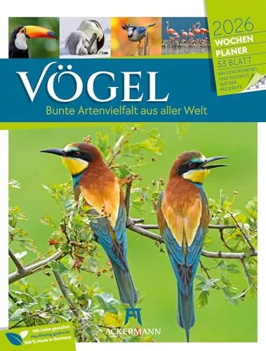 Vögel Wochenplaner Kalender 2026 | Bildstarker Tier-Wochenkalender im Hochformat (25x33 cm) | Mit Kreuzworträtseln, Sudokus & mehr