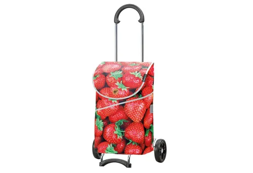 Andersen Einkaufstrolley Scala Shopper MIX A30, bis 40kg belastbar - Der praktische ANDERSEN Scala Shopper überzeugt mit einem leichten, abnehmbaren Design und einer wasserabweisenden Tasche. Ideal für den täglichen Einkauf und vielseitig einsetzbar.
