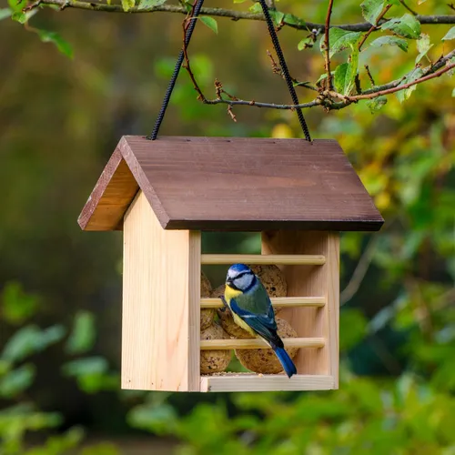 dobar® Green Label 11522FSCe - Großer Meisenknödelhalter aus Kieferholz - Futterstation für Wildvögel aus FSC-zertifiziertem Kiefernholz, ideal für dobar Meisenknödel, mit abnehmbarem Dach zur einfachen Befüllung.