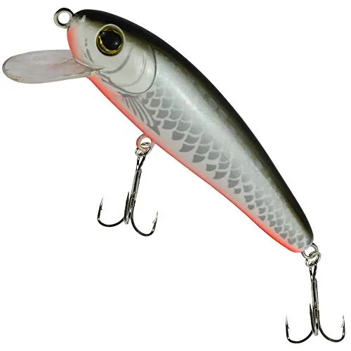 Fishing Tackle Max Unisex – Erwachsene 10C8900156C10 SEIKA Pr-Akita-Wobbler Farbe: White Fish Länge: 11,0cm Programm von FTM, Bunt, Normal