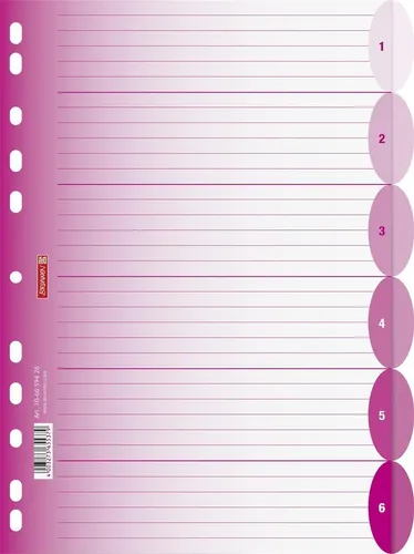 BRUNNEN 106659426 Ringbuchregister A4 6teilig pink