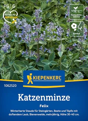 Kiepenkerl Katzenminzesamen Felix 1062520 - Duftende Minze für Steingärten, Beete und Töpfe mit duftendem Laub - Blumensamen, Saatgut, Blumenwiese
