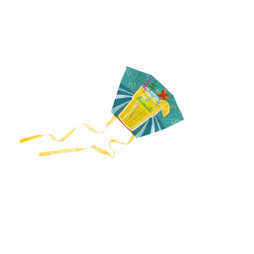 Donkey Products Flugdrache Mini Kite