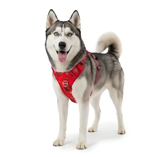 Reichstadt Pets Hundegeschirr – Verstellbares No-Pull Geschirr mit Griff & Reflektoren | Atmungsaktiv, Gepolstert & Strapazierfähig | Sicherheitsgeschirr für Große Hunde 25RSP083 Puppy Love Red L
