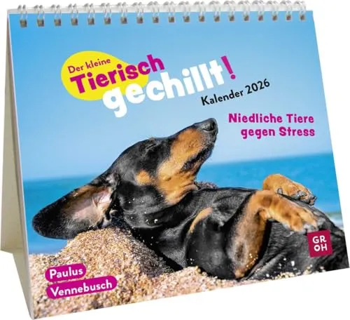 Mini-Kalender 2026: Der kleine Tierisch gechillt! Kalender: Mini-Monatskalender. Kleiner Tischkalender zum Aufstellen mit Monatskalendarium und lustigen Sprüchen