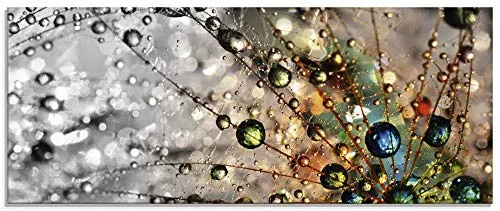 ARTland Wanddeko Glasbilder Wandbild Glas Bild einteilig 125x50 cm Querformat Natur Botanik Blumen Pusteblume Frühling Wassertropfen Modern T9IN