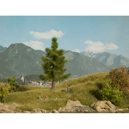 Noch-21815 Fichte NEU OVP FichteHersteller Nummer: 21815Hersteller: NOCH GmbH