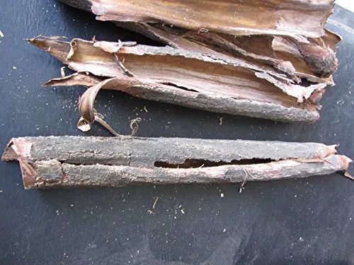 Seemandelbaumrinde-Röhren 50 Gramm original A-Markenware von SMJS-Cambodia - BLITZVERSAND - Seemandellaub Catappa Bark