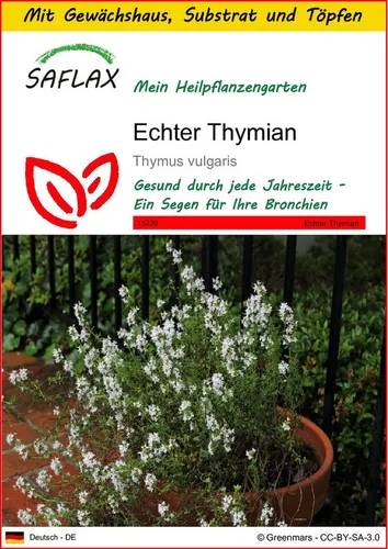 SAFLAX Blumensamen SAFLAX - Anzuchtset - Echter Thymian