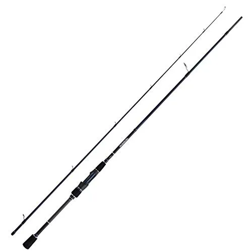 Rod Technium AX Spinning von Shimano