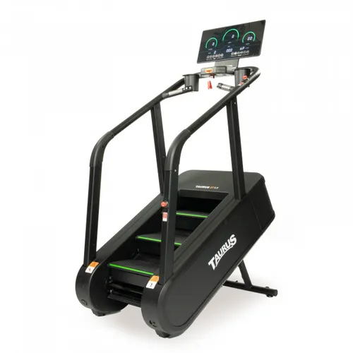 Taurus Stair Trainer ST9.9 Treppensteiger