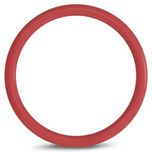 O-Ring Dichtring für Brühgruppe passend wie DeLonghi 5332149100 Kaffeemaschine