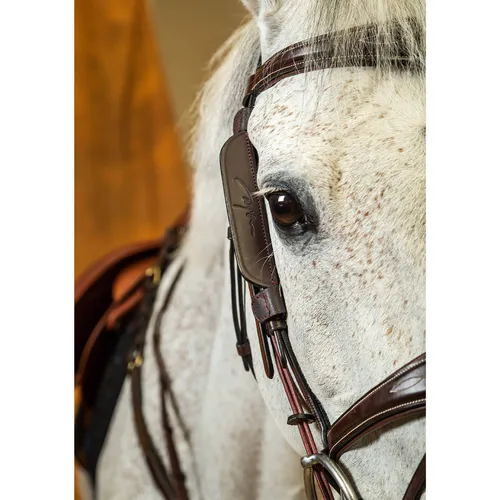 Dy'on Mini-Scheuklappen Braun in braun von Dyon