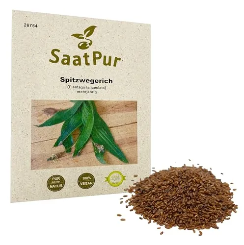 Saatpur Samen Spitzwegerich - für ca. 1000 Pflanzen
