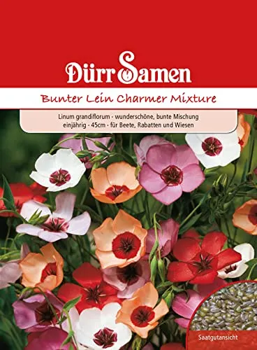 Dürr-Samen - Bunter Lein Charmer Mix einjährig 45 cm Saatgut