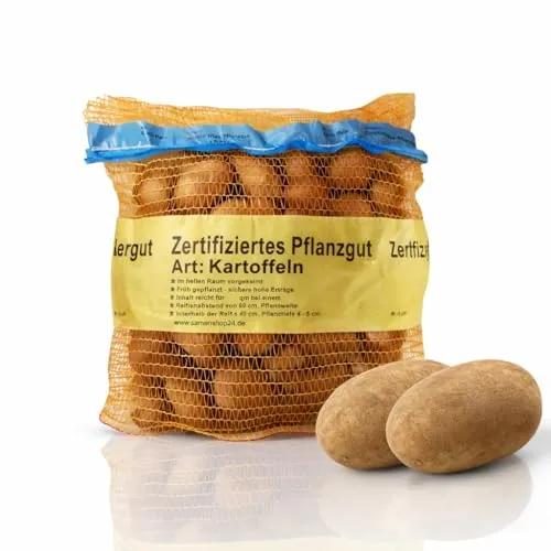 Samenshop24® Pflanzkartoffeln Linda 2,5 kg von Samenshop 24
