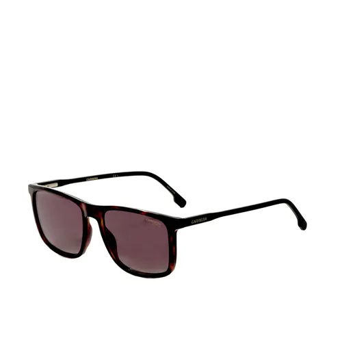 Carrera Unisex 55 MM Havana Sonnenbrille CARRERA231-S-086-55