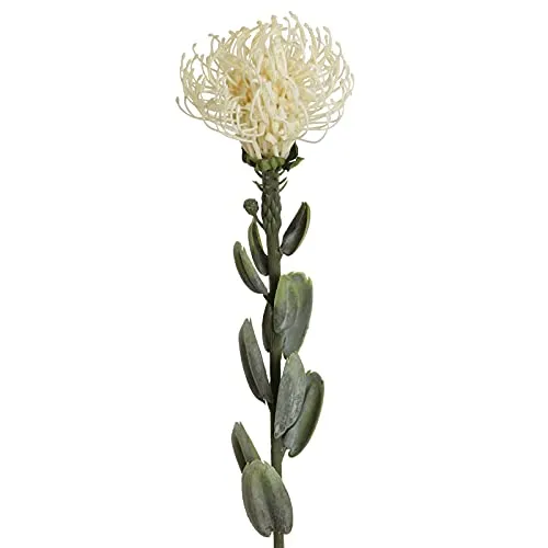 Floratexx Kunstblume Protea. 61 cm. Zuckerbusch, Kaprose, Federbusch. Weiß, Creme