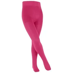 Unterwäsche & Socken Lila von FALKE