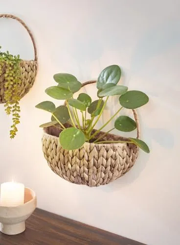 Dekoleidenschaft Pflanzschale Wandpflanzer aus Wasserhyazinthe - Garten-Zubehör: Handgefertigter Wandpflanzkorb aus Wasserhyazinthe, ideal für kreative Wanddekoration und Platzierung kleiner Pflanzen in jedem Raum.