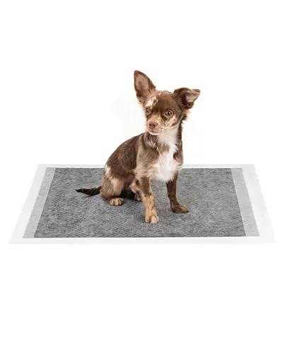 Hilfsmittel für Tierausbildung von lionto