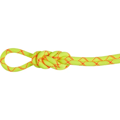 MAMMUT 9.5 Alpine Core Protect Dry Rope - Einfachseil halo-vibrant orange 50 m - Dynamikseil für Alpinklettern mit revolutionärem Aramid-Mantel für erhöhte Schnittfestigkeit und Sicherheit. Ideal für Bergsteigen und Eisklettern.