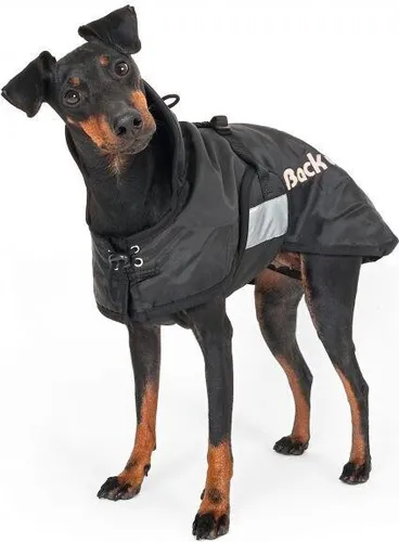 Back on Track Hunde Standardmantel