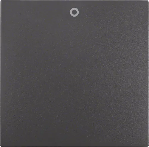 Berker Wippe anth matt 16221606 Taster Schalter Abdeckungen Abdeckung Wippe