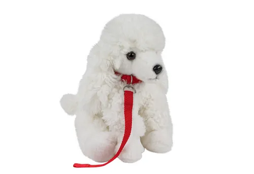 Teddys Rothenburg Kuscheltier Pudel mit Leine - Stofftier Pudel sitzend, aus kuschelweichem Plüsch, 28 cm, maschinenwaschbar bis 30°C – der perfekte Begleiter für Kinder und Liebhaber von Plüschhunden.