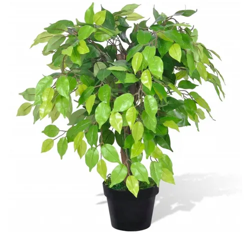 Kunstpflanze Künstlicher Zwerg-Ficus 60 cm – Realistischer Look für Ihr Zuhause - Die 60 cm hohe Kunstpflanze mit 420 Blättern bringt natürliche Frische in jeden Raum. Ideal für pflegeleichte Dekoration und stimmungsvolle Akzente in Ihrem Wohnbereich.