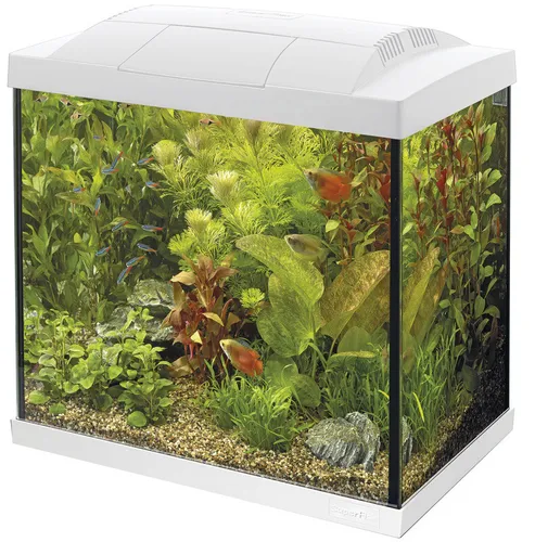 Superfish Start 30 Aquarium Tropical 25L - Weiß - Komplett-Setup für Aquarien, inklusive LED-Beleuchtung und Innenfilter, ideal für Einsteiger und dekorativ in Weiß.