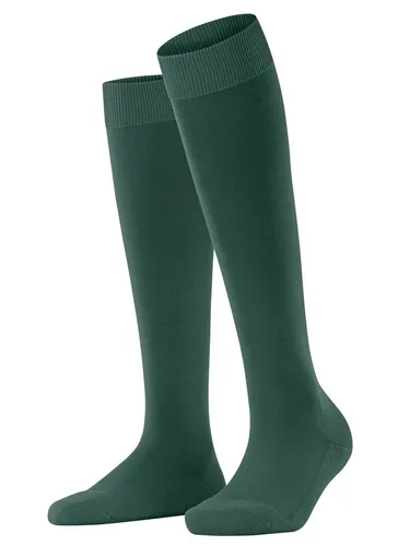 Falke Kniestrümpfe ClimaWool in grün von FALKE