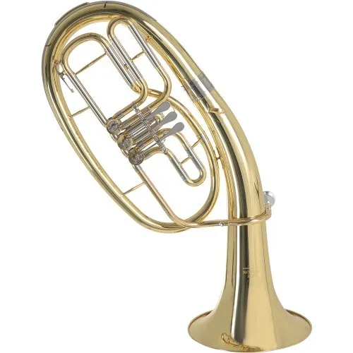 Roy Benson Bb-Tenorhorn TH-202 (Premium Kompaktmodell, mit Ø 26 cm Messing Schallstück, langlebigem Goldmessing Mundrohr, Neusilber Zügen, in lackiertem Finish, inkl. leichtem Formetui)