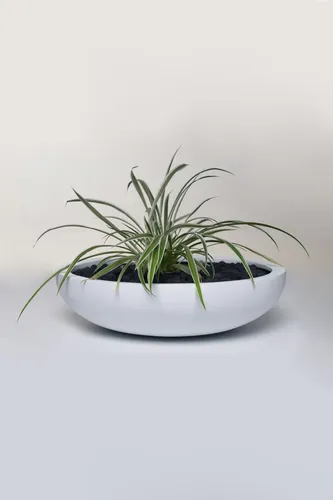 Pflanzschale Blumenschale Fiberglas weiß PLANA 11x43 cm
