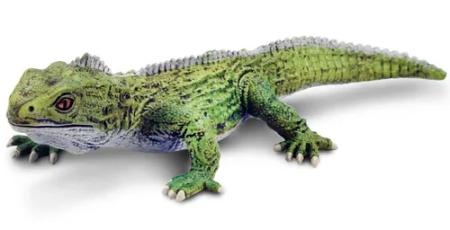 Safari Ltd 102503 Brückenechse 18 cm Serie Reptilien Neuheit 2024