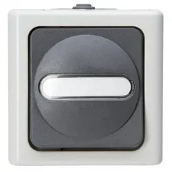 Kopp 561456001 Blue Elec. Taster Wechsler, Aufputz IP44