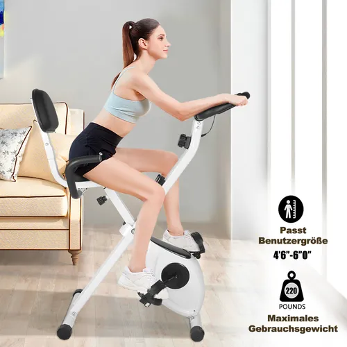 Heimtrainer