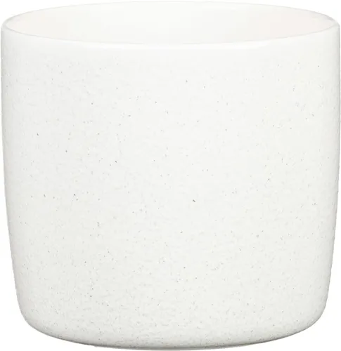 Scheurich Übertopf Solid Ø 17,6 x 16 cm perla weiß