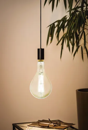 EGLO Vintage Spezial E27 LED Lampe PS160 8W warmweiß dimmbar - Energiesparlampe mit 600 Lumen, ideal für stimmungsvolle Beleuchtung. Dimmbar und energieeffizient für ein gemütliches Ambiente.