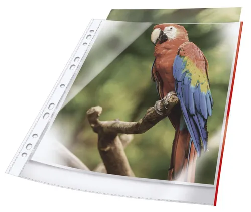 DURABLE Prospekthüllen DIN A4 0.08 mm rot 265403