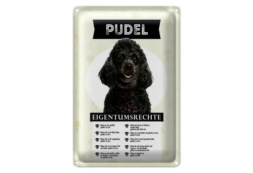 Roomando Metallschild Spruch 12x18cm Pudel Eigentumsrechte