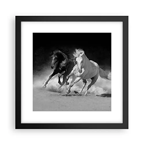 Wandposter Art Prints 30x30cm Poster Schwarzrahmen Andalusier Pferde Galopp Küche Wanddeko Bild Wand Kunstdruck Deko Wandbilder Dekoration Wohnzimmer Schlafzimmer Modern Wall Art Decor P2BAC30x30-4240