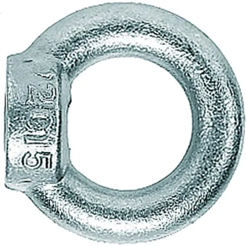 Fischer 91579 Ringmutter RI M12 E VPE 1 Stück von Fischer