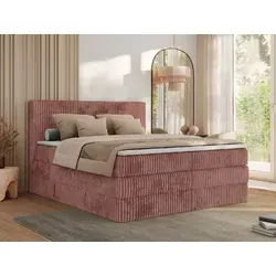 MKS MEBLE Boxspringbett 180x200 Rosa Cord in pink von MKS Meble