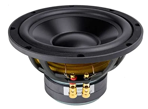 Reckhorn D-200 Subwoofer Chassis 20cm - 100 Watt RMS - Subwoofer mit kraftvollem Bass und hoher Leistung, ideal für Heimkino und Musikliebhaber